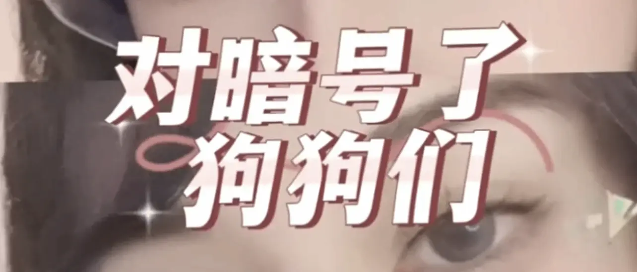 西檬之家字母圈k8是什么? 一
