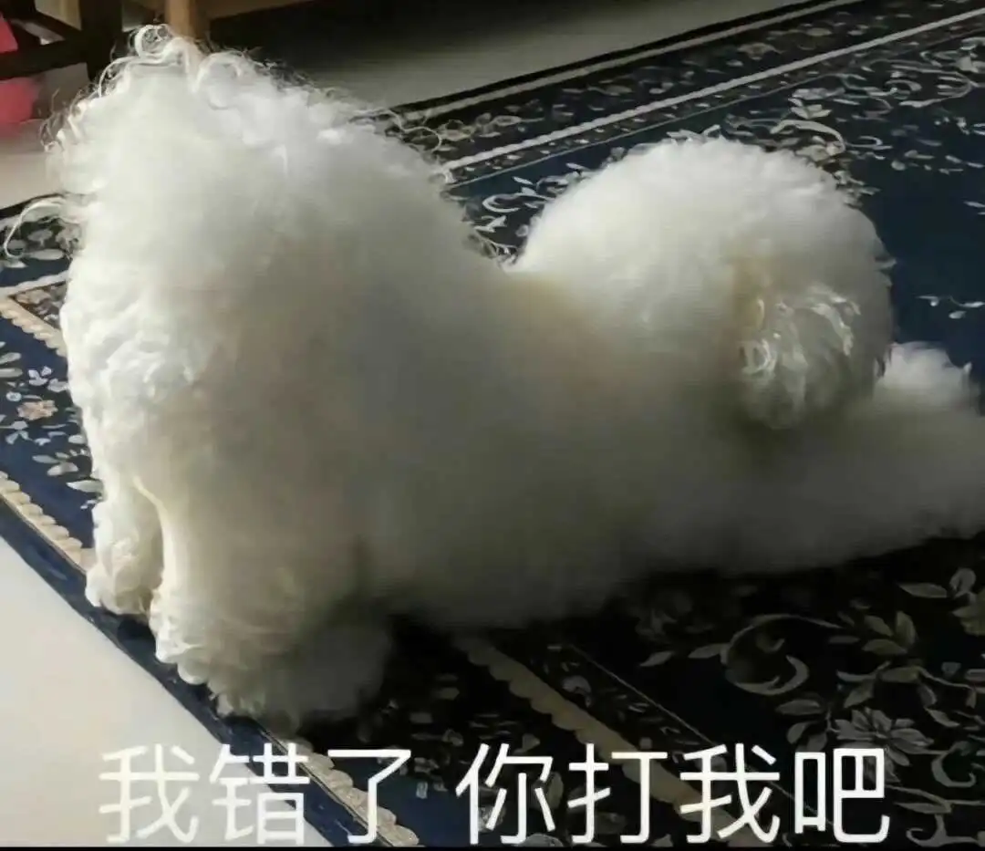 西檬之家字母圈SP是什么? 一