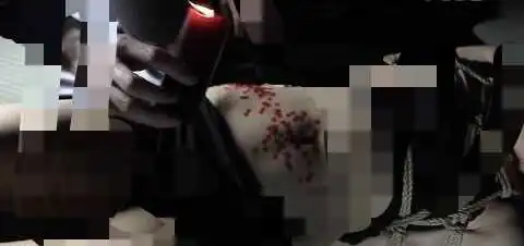 西檬之家sm亚文化:如何理解支配与臣服? 一