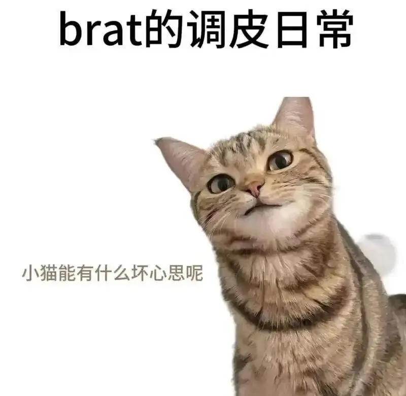 西檬之家字母圈入圈需要注意什么? 一