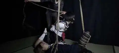 西檬之家什么是DS关系? 一