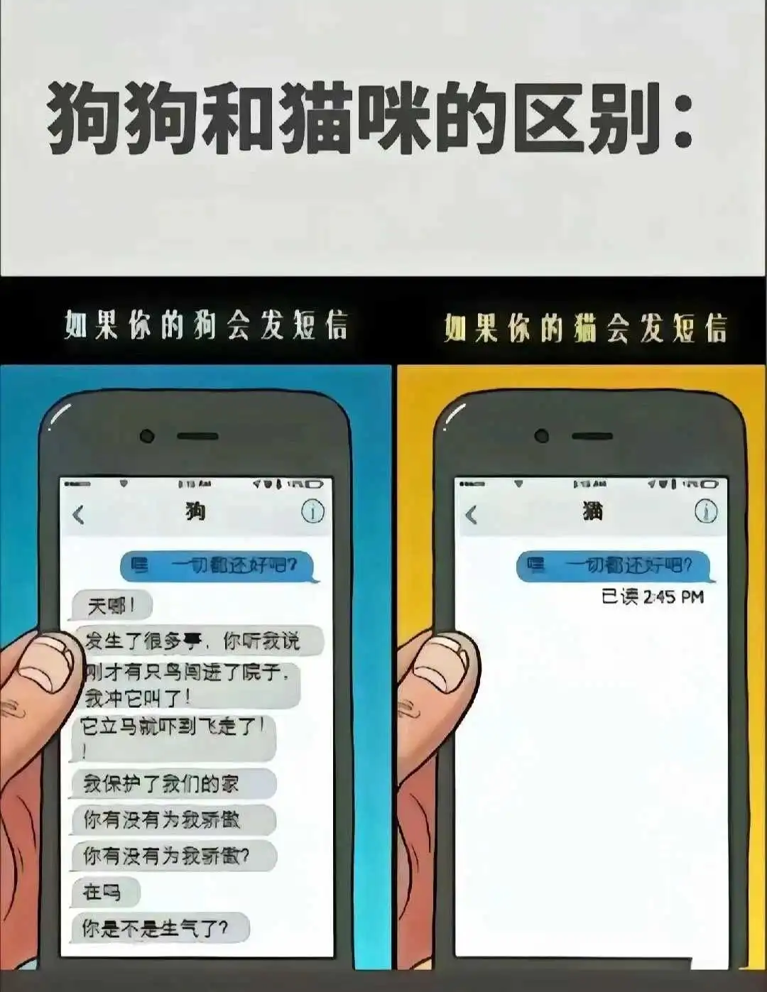 西檬之家恋足癖是什么?如何辨别相关属性 一