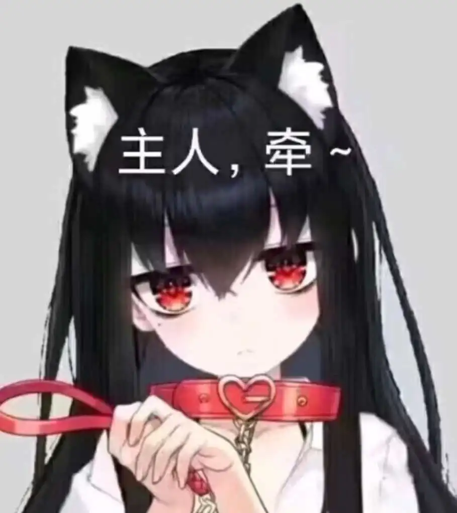 西檬之家K9犬系是什么意思? 一