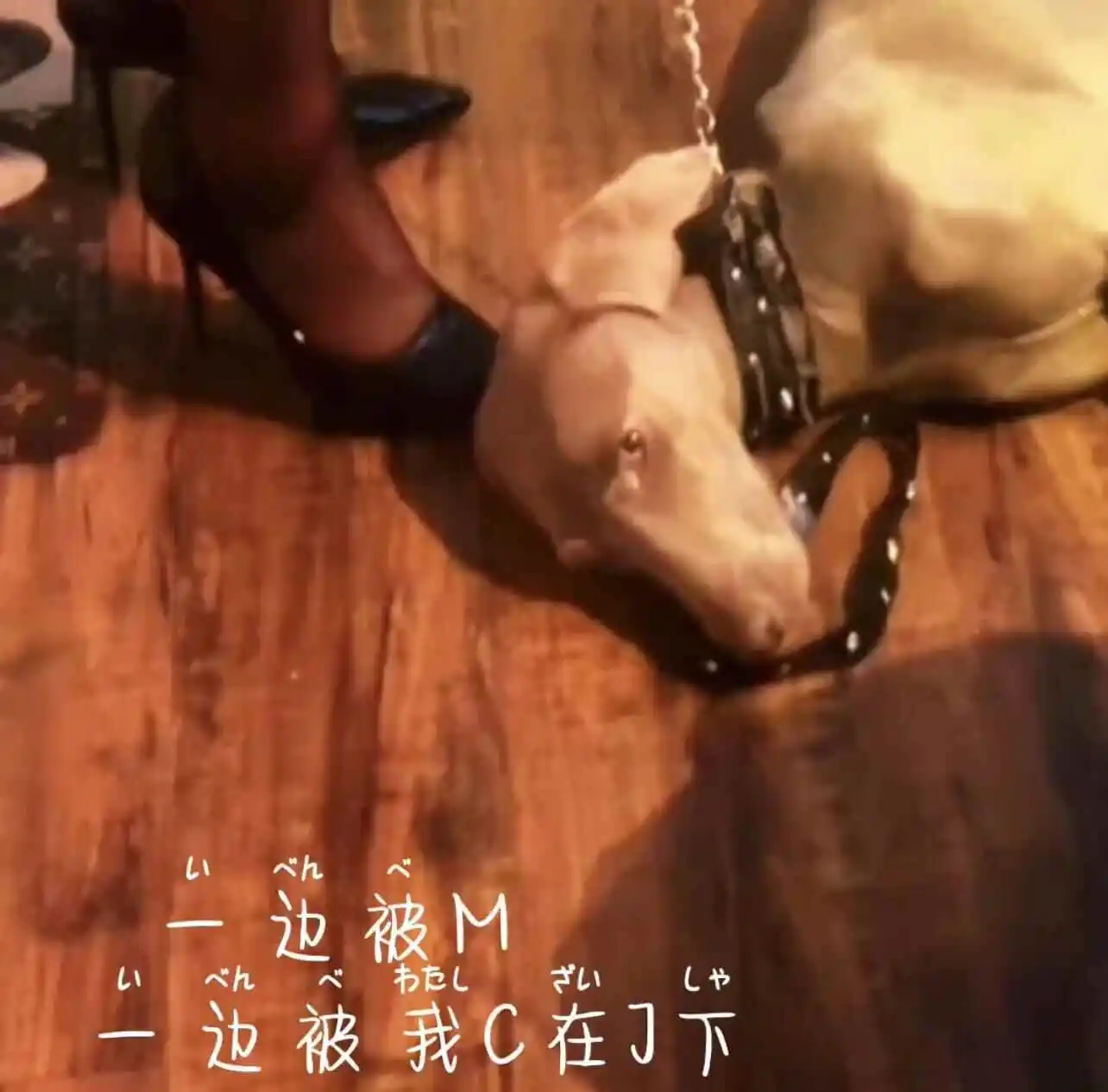西檬之家BDSM入圈新手必读指南 一