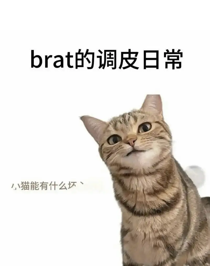西檬之家k9是什么? 一
