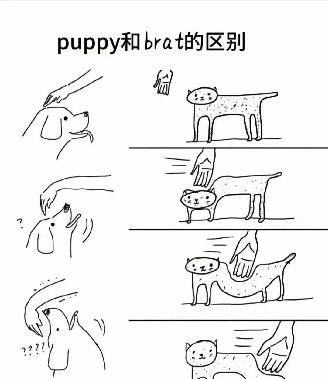 西檬之家字母圈入门是什么意思? 一