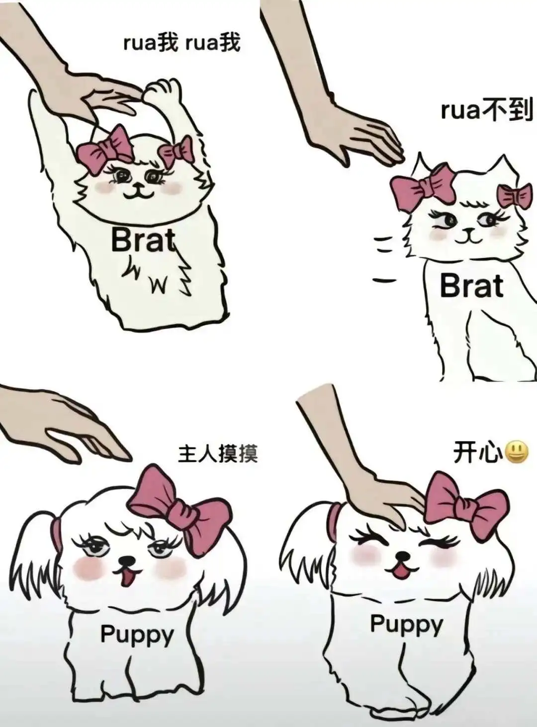 西檬之家k8猫系怎么拿捏?字母圈新人入圈 一