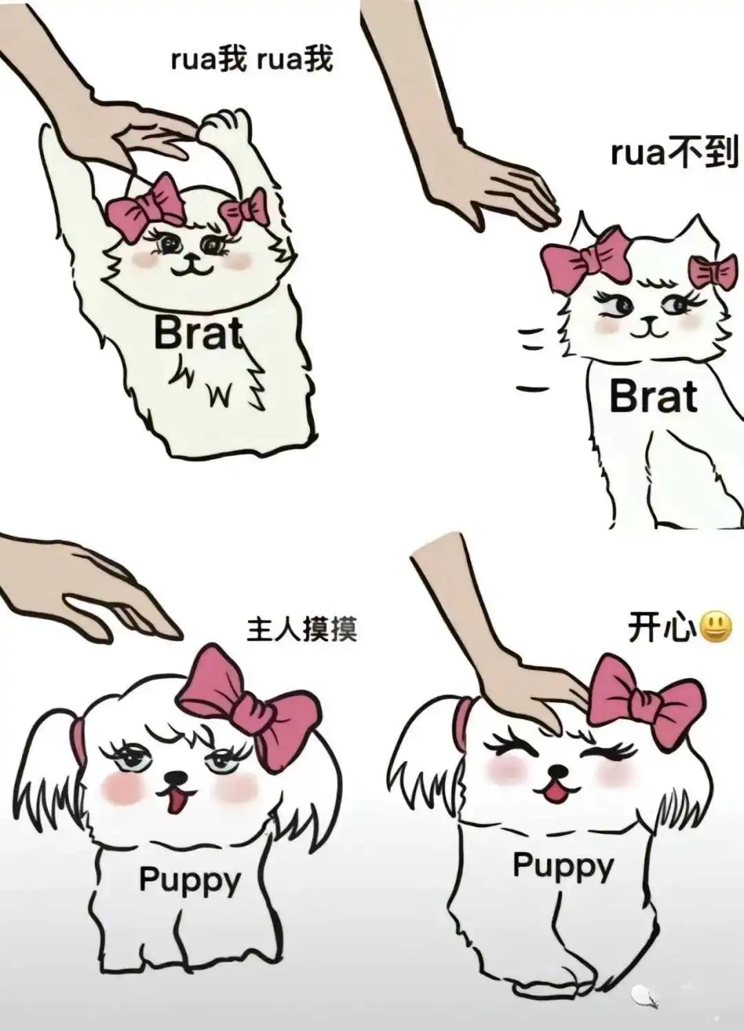 西檬之家字母圈的女王指的是什么? 一