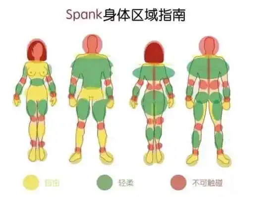 西檬之家字母圈s属性是什么意思? 一