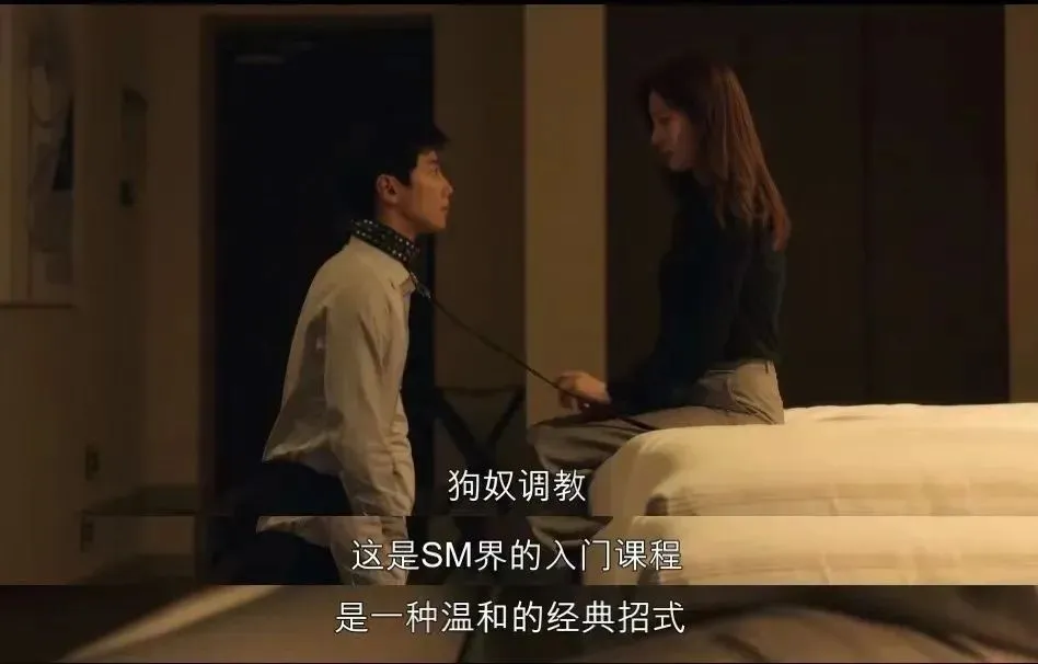 西檬之家字母圈brat属性是什么 一